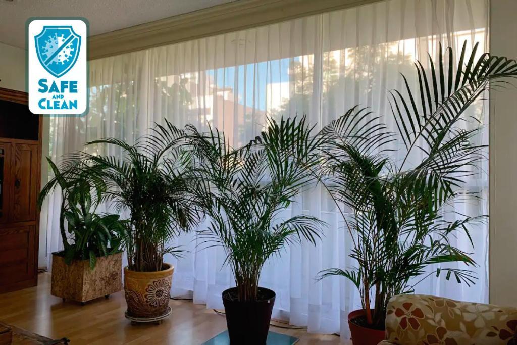 Departamento Maimonides Polanco Apartment *